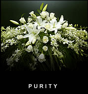 Casket Sprays - Purity