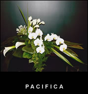 Casket Sprays - Pacifica