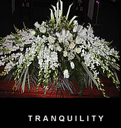 Casket Sprays - Tranquility