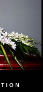 Casket Sprays - Adoration